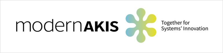 Logo Modern Akis