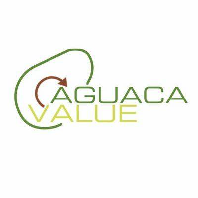 Revalorización de Subproductos del Aguacate en Nutrición Animal, Nutraceuticos y Cosmeceuticos 