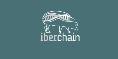 iberchain2