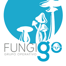 FUNGIGO.png