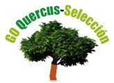 quercus