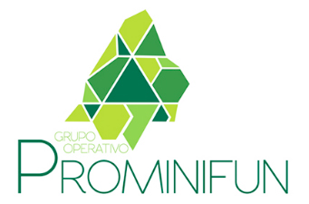 prominifun