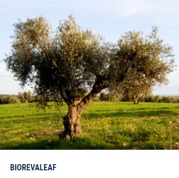 BIOREVALEAF