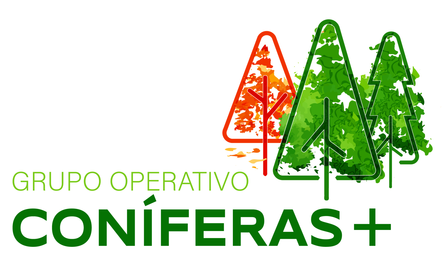 GO Coníferas en akisplataforma.es