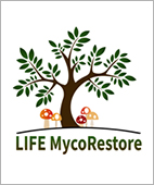 life12