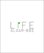 life13