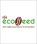 life 26