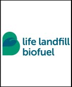 life 29