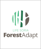 life51