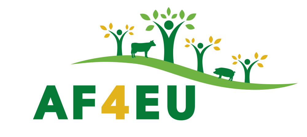 Logo AF4EU