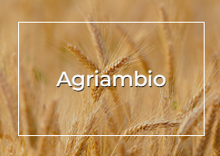PTI AGRIAMBIO CSIC
