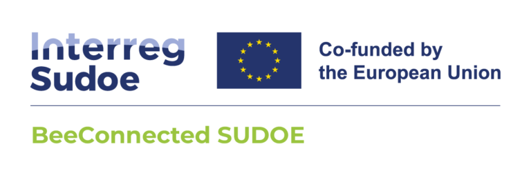 Proyecto INTERREG-SUDOE Beeconnected-sudoe