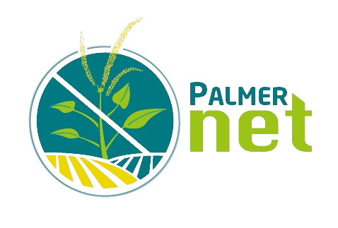 Logo PalmerNet
