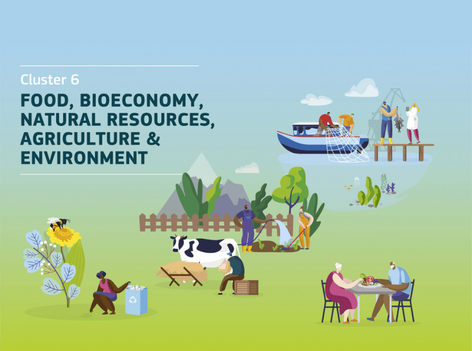 INFOGRAFÍA CLUSTER 6