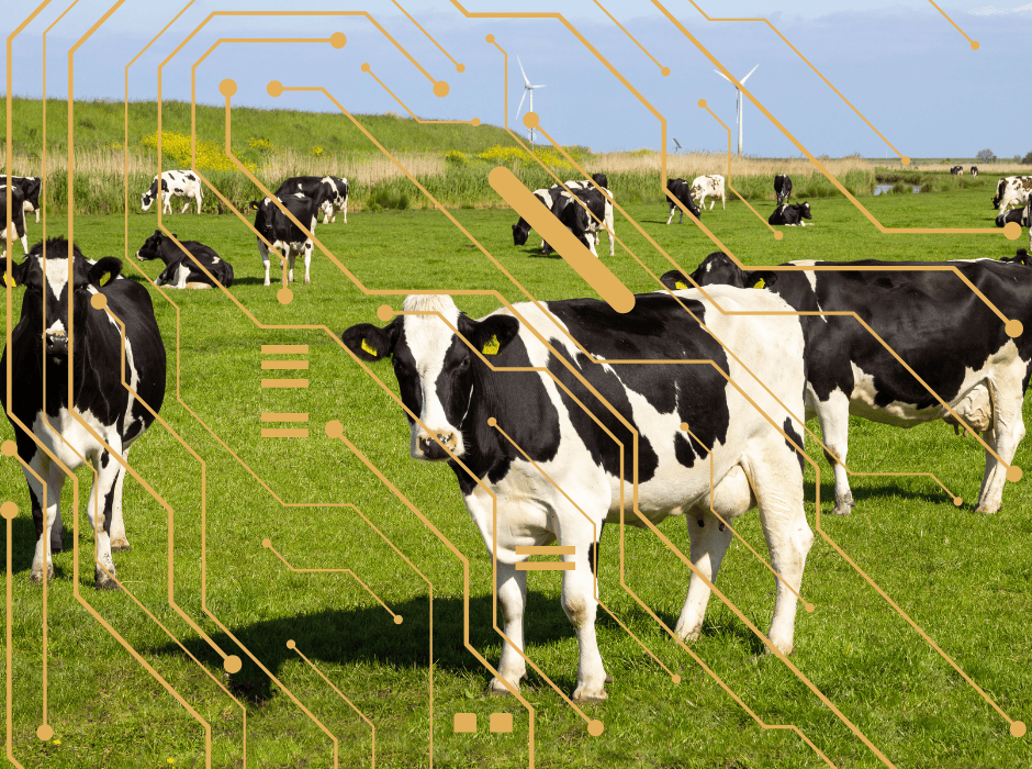 ILUSTRACIÓN DE RUMIANTES Y DIGITALIZACIÓN