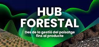 hub forestal