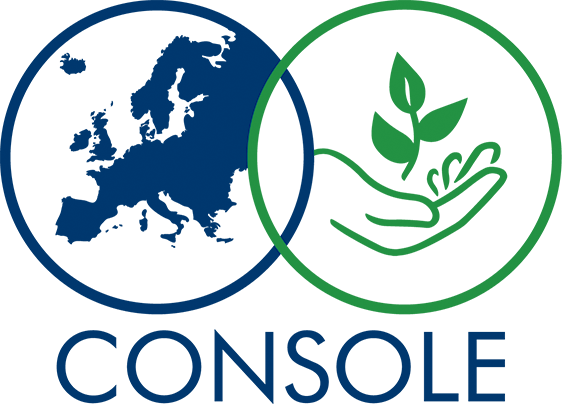 logo Console