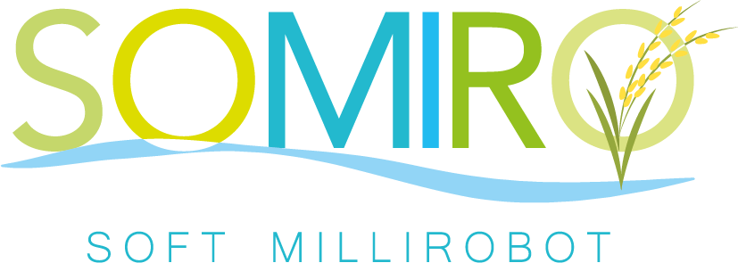 Logo Somiro