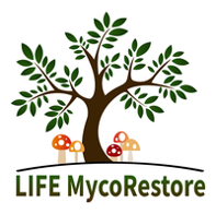 Logo Mycorestore