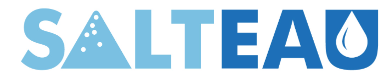 logo salteau
