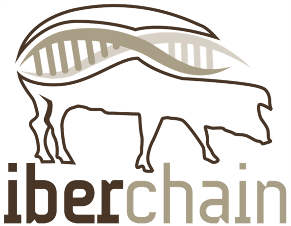 Logo GO Iberchain