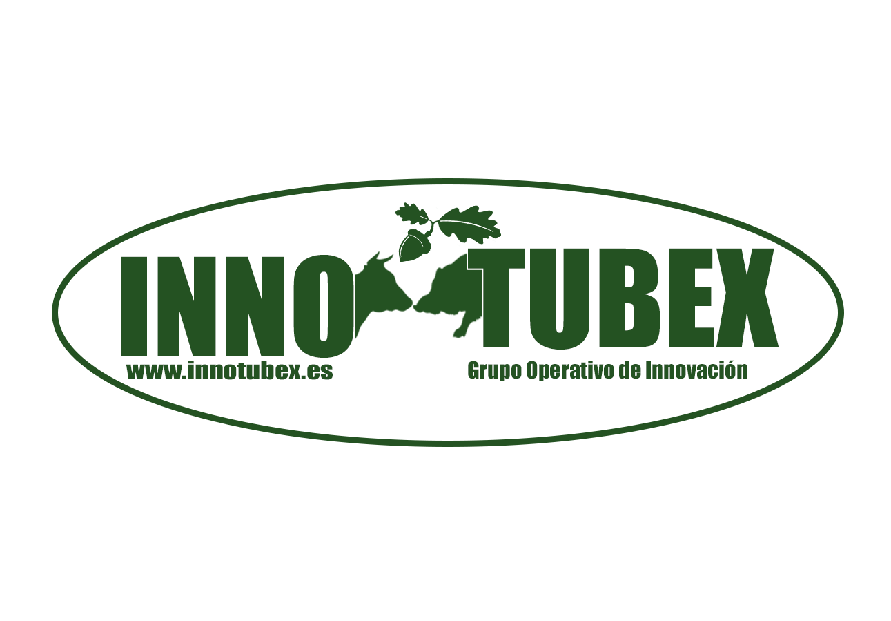 Logo GO Innotubex