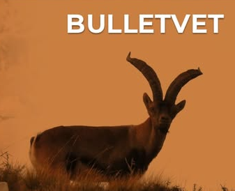 Logo bulletvet