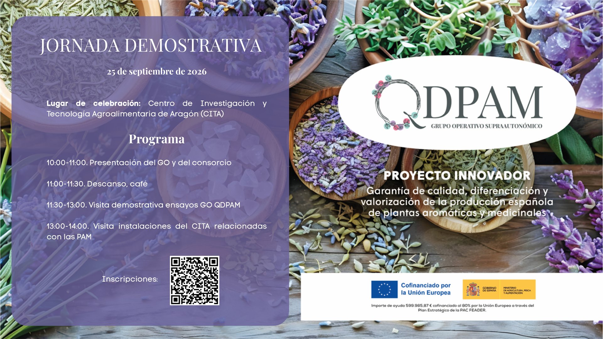 Jornada demostrativa de QDPAM