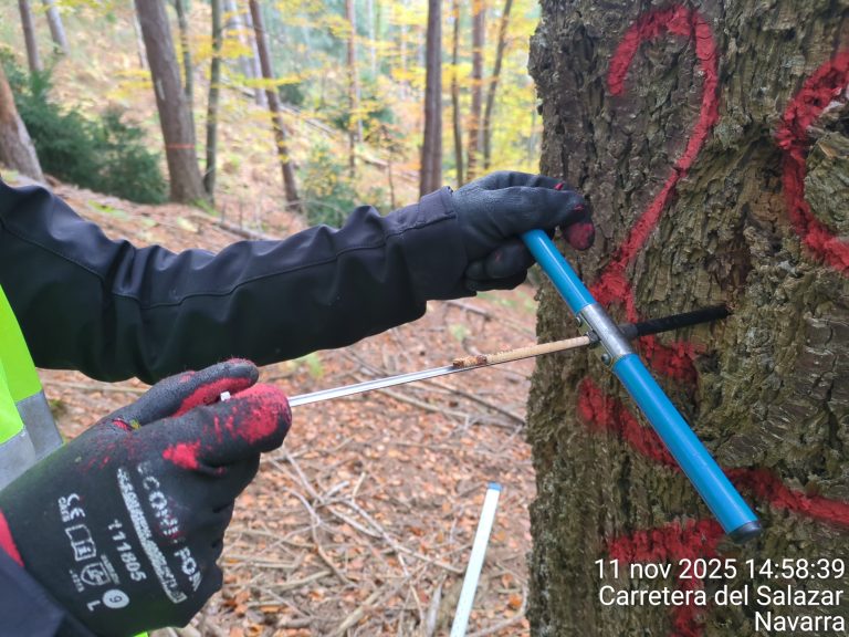 Details of the measurements in Navarre