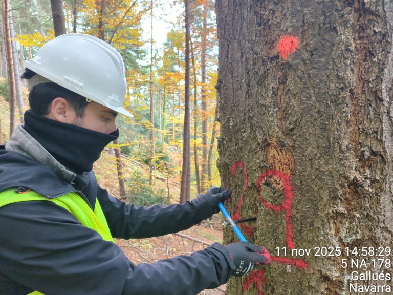 Details of the measurements in Navarre