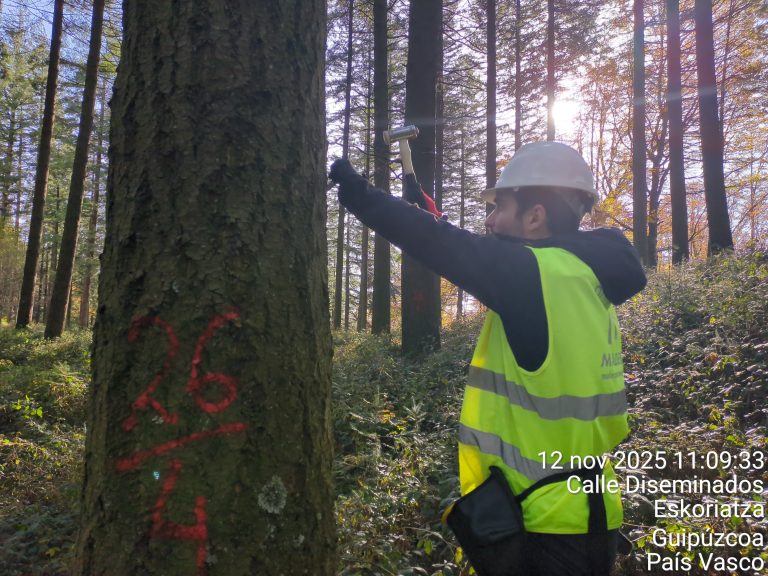 Measurements in Guipúzcoa