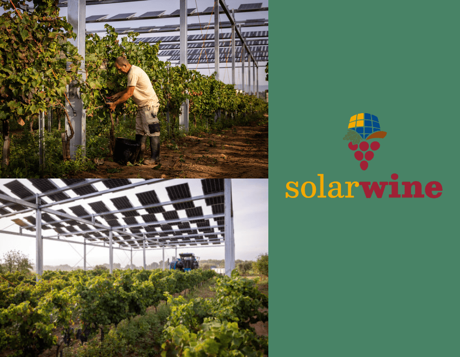 viñedos con placas fotovoltaicas del proyecto GO Solarwine en Penedés