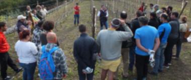 groupe d'images de personnes recevant un cours