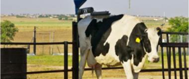 https://www.juntadeandalucia.es/agriculturaypesca/ifapa/cursosyjornadas/es/curso/2023-kbg-309-1