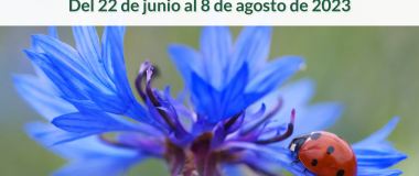 Online course: Plant health in organic horticultural crops