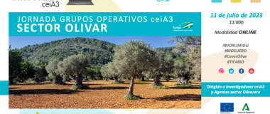 Xornada Grupos Operativos CeiA3 – Sector Olivar