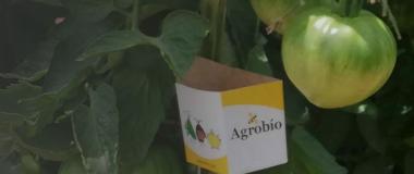Horticultura ecolóxica | 2a edición