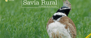 portada revista savia rural