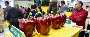 Imagen de la expo Níjar