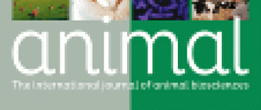 portada revista animal