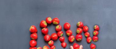 alimentos