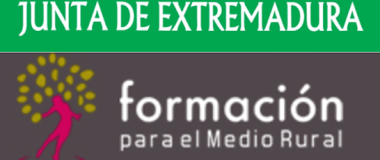 training for rural areas