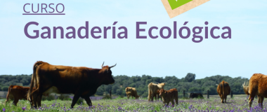 Cartel do Curso de Gandaría Ecolóxica