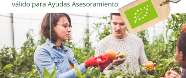 Couverture du cours de production biologique ECOVALIA