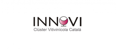 Logo INNOVI