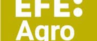 logo de efe agro