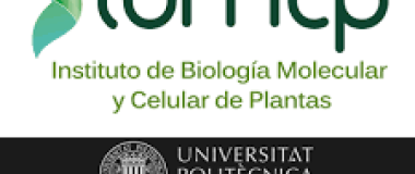 logo ibmcp csic upv