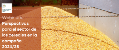 Perspectivas cereal 2024/2025