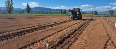 campo demostrativo de almendro y avellano en akisplataforma