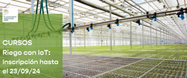 Irrigation management with IoT